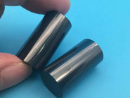 Phản ứng đánh bóng cao Liên kết Silicon Nitride Xi lanh gốm Piston Trục pit tông cho máy bơm
