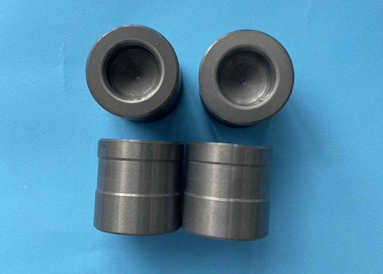 Sức mạnh nén 3800 MPa Đối với gốm nitrure silic với màu đen / xám